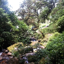 Cachoeira da Graciosa